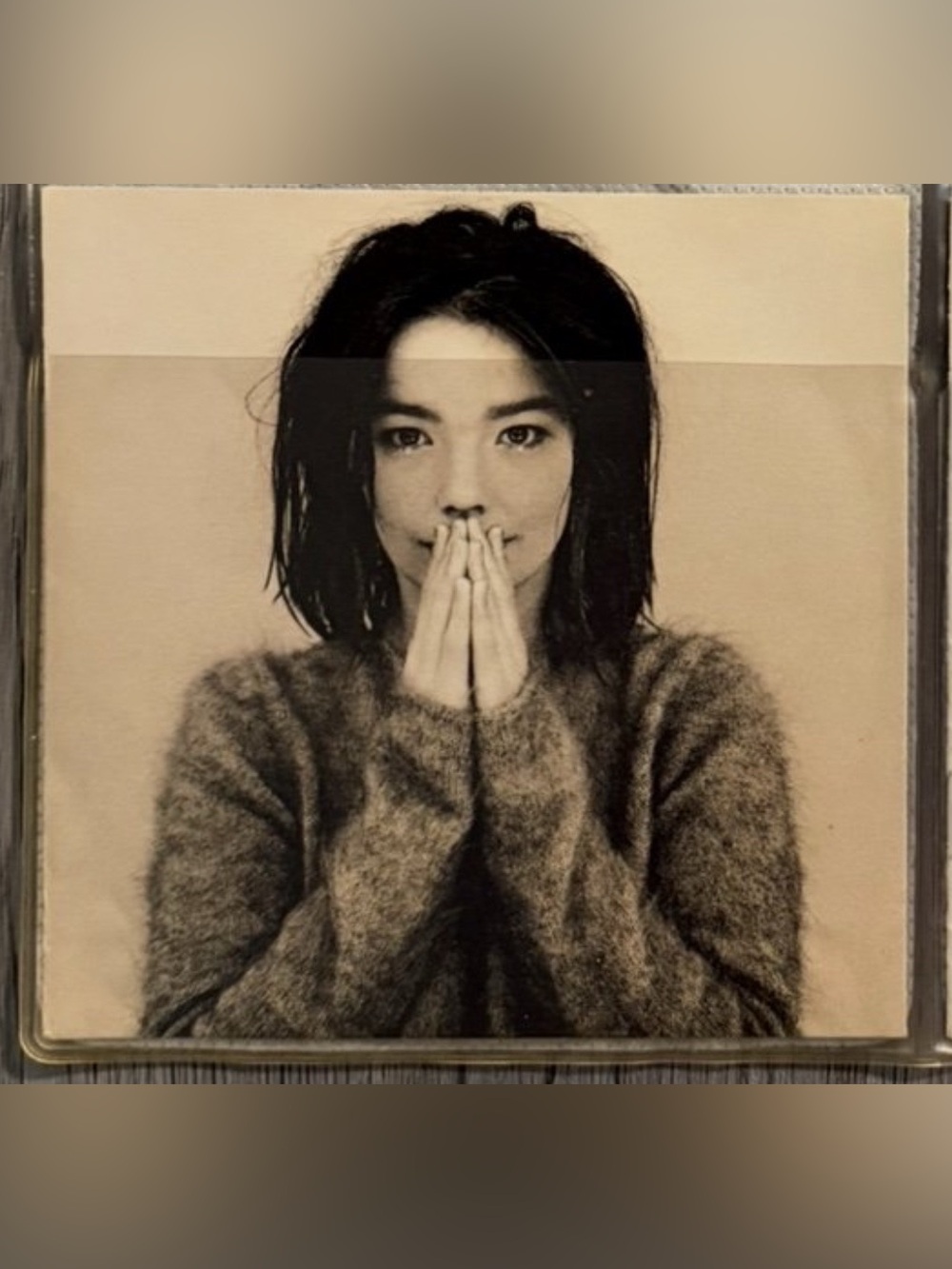 Debut by Björk 1993 CD and Booklet Only
